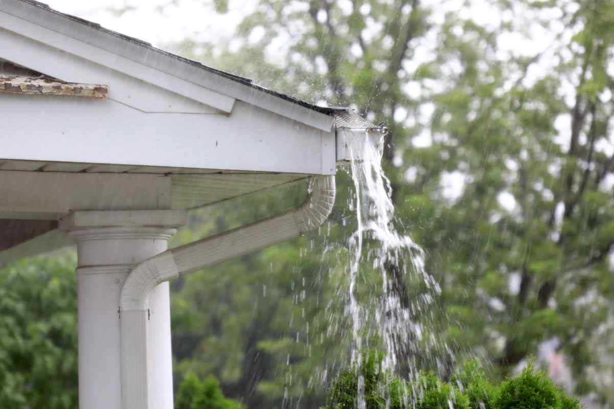 Comparing Gutter Guard Types: Mesh, Surface Tension, and Micro-Filtration Systems