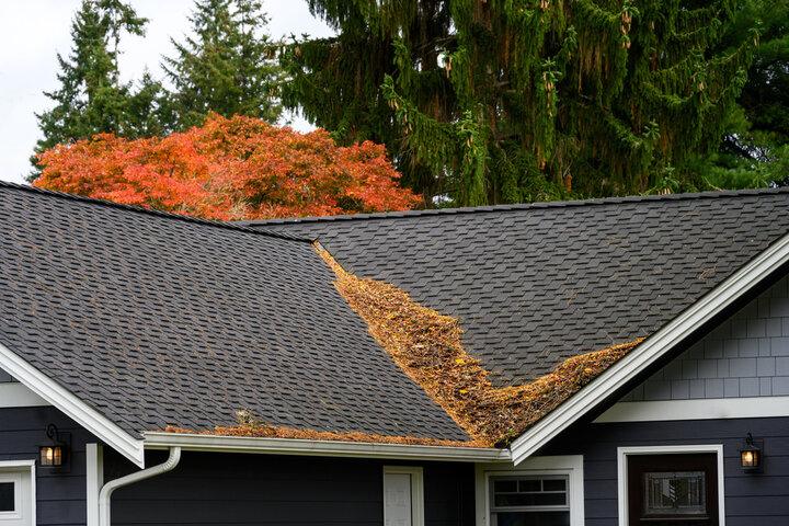 Roof Maintenance Tips for Roswell GA Homes | Best Roofing and Siding Company in Roswell, GA | Gibbs Roofing in Roswell, GA